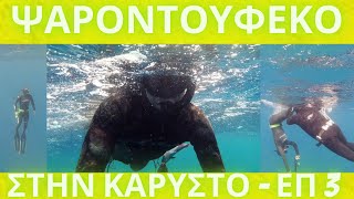 ΨΑΡΕΜΑ ΚΑΙ ΨΑΡΟΝΤΟΥΦΕΚΟ ( ΕΠ. 3) -  ΔΙΗΜΕΡΟ ΣΤΗΝ ΚΑΡΥΣΤΟ.- Η ΕΠΙΣΤΡΟΦΗ