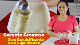 O SORVETE CREMOSO CASEIRO: SEM EMULSIFICANTE E SEM LIGA NEUTRA!🍨💖