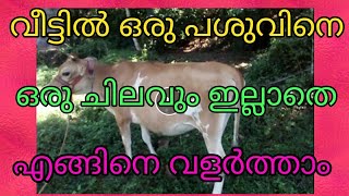 Jursy cows identify, malayalam