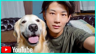 【THE夜会】夜に駆ける🌔犬との散歩【このライトオススメ🔦】