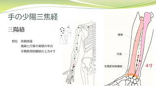【経絡経穴を覚えよう】手の少陽三焦経　部位　暗記用