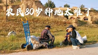 农民80岁还得种地！张家口农村大爷大妈种三片地咋收秋？太难了