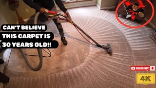 RESTORING THIS 30 YEAR OLD CARPET TO NEW!!