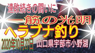 【ヘラブナ釣り】連敗続きの闘いに一筋の光明【小野湖】