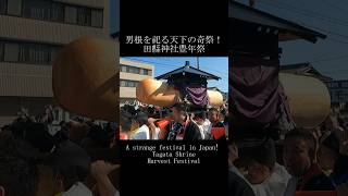 男根を祀る天下の奇祭！田縣神社豊年祭 A strange festival! Tagata Shrine Harvest Festival #shorts #japanfestival #豊年祭