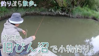 【小物釣り】秘密の場所？埼玉県 旧びん沼で小物釣り。【淡水】