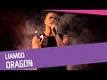LIAMOO - Dragon