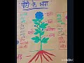 easy tlm for beginners 🖌️🌿 parts of tree 🌴🌴 science tlm sunsetsandhya 🌈💕🌈