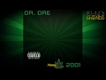 Dr. Dre ft. Snoop Dogg, Kurupt & Nate Dogg - The Next Episode (Legendado)