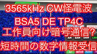 3565kHz CW怪電波正体は？BSA5 TP4C以外に謎の数字を短時間受信！方向探知、AI活用、ENIGMA情報 アマチュア無線 Ham Radio TDoA