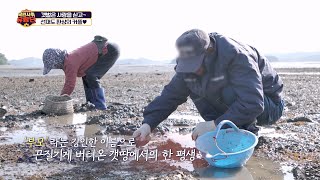 [교양] 버스타go 효도하go 국민사위 유랑단 27회_240623_선재도 어르신들에게 다시 희망을 선물할 수 있을까?