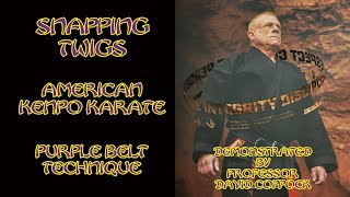 Snapping Twigs - American Kenpo Karate