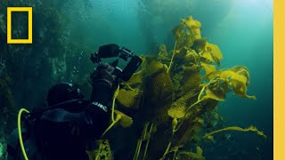 Canoeros: Memoria Viva (2022) | Pristine Seas | National Geographic Society