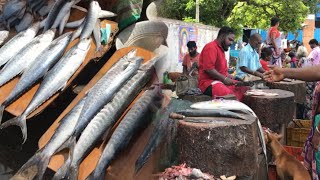 #chennai kasimedu Meen market #fish