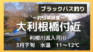 バス釣り！大利根橋付近の利根川流入河川にそろそろ魚が入ってきてるか調査してみました。