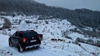 Off Road cu Dacia DUSTER prin Satele Izolate din Apuseni ! 🏔 Am Făcut frumoasa vârstă de 400k KM !