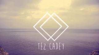 Tez Cadey - Coastal Cat