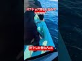 【オフショア】【落とし込み】【ジギング】シーズン真っ只中！ベイト湧き涌き青物ばっくばく！！！＃ジギング＃落とし込み＃オフショア落とし込み＃釣り＃長崎釣り＃ヒラマサ＃ブリ＃ヤズ＃ネリゴ shorts