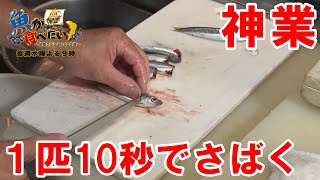 【神業】1匹約10秒でさばいたウルメイワシのお刺身がこちらです