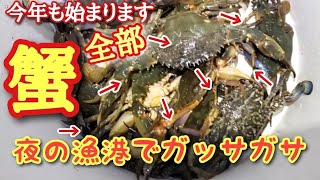 【ワタリガニ】お手軽網だけ蟹掬い  今年も開幕！見つけて掬って食べましょう