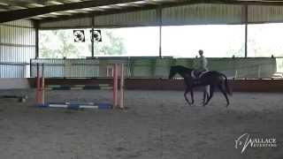 Jump Schooling with David O'Connor