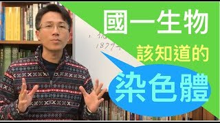 你需要知道的染色體-國一下生物1-1