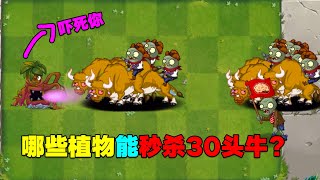 PVZ：哪些植物能秒杀30头机械牛？