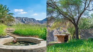 Exploring Wadi Asimah l Fujairah