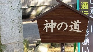 三保の松原「神の道」を歩いてみた