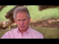 steep your soul jon kabat zinn s morning ritual supersoul sunday oprah winfrey network