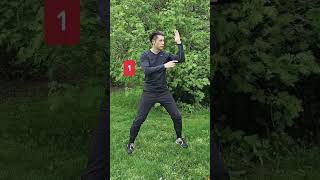 Debunking the Myth: Can Tai Chi Really be Used for Fighting?