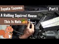 Squirrel vs Toyota Tacoma - Part I