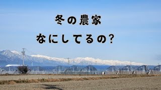 最低気温マイナス6℃！長野県松本市のパプリカ農家…冬はなにしてる？