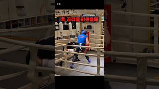 상대가 공격을 회피 했을때 스탭 살려서 바로 2차공격하기 #복싱 #boxing #sparring #스파링 #312toglory #하남짱돌 #파파복스