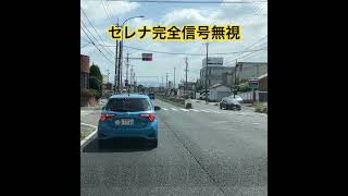 ドラレコ映像😡初歩的なことが出来ない車両（日産セレナ）ご覧ください☝️#ドラレコ#違反車両 #信号無視#交通違反 #セレナ