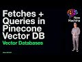 Fetches + Queries in Pinecone Vector DB