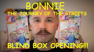 Bonnie (rabbit doll) The Journey Of Streets BLIND BOX BJD COME4ARTS *ADULT DOLL COLLECTOR*