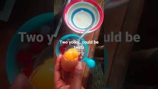 Two yolks in one egg...Twins!