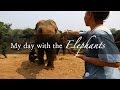 My Elephant Day Tour Experience in Thailand - The Way To My Hart