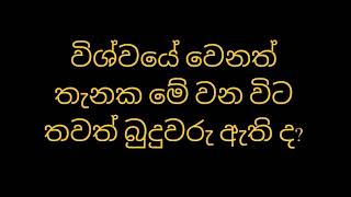 විශ්වයේ වෙනත් තැනක මේ වන විට තවත් බුදුවරු ඇති ද?