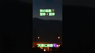 稲妻⚡　風神雷神の宴