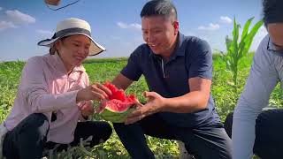 路遇瓜农送瓜吃，海哥量地球豪气买10个，又大又甜众人分享#海哥量地球