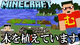 【マインクラフト】畑拡張・牛繁殖・植林はじめました【マイクラ実況 Part15】#むらクラ