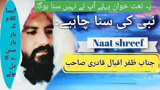 mil gaye Mustafa aur kya chahiye lyrics in urdu.Naat Jnab Zafar IQBAL Qadri sb