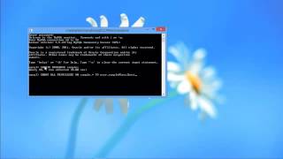 Create MySQL Database via Command Line