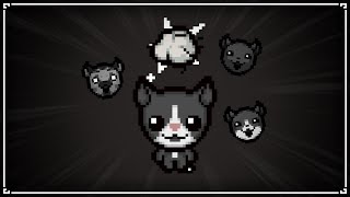 구피세트 완성에 도움을 주는 새로운 아이템의 등장! - The Binding Of Isaac: Repentance 【아이작:리펜턴스】