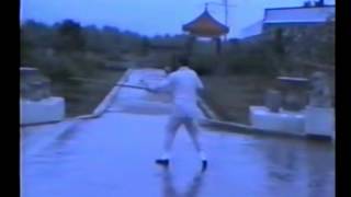 鄭天熊 - 太極槍 CHENG Tin Hung - Tai Chi Spear