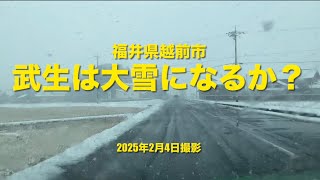 「降り続く雪」福井県越前市/2025年2月4日撮影