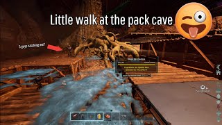 Raiding pack cave and a lot of runs 🐤| ASA PS5 Console SmallTribes