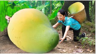 Harvesting mangoes to sell at the market | Cooking | Daily life of a single mother and daughter